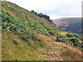 ST0292 : Troed-y-rhiw mountain by David Spencer