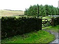 NY7745 : Public Bridleway, Greenends by Mick Garratt