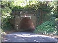 TQ2949 : Railway bridge near South Nutfield by Hywel Williams