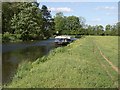 SU6369 : River east of Tyle Mill bridge by John Lloyd