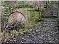 NZ4423 : Blocked Up Tunnel Under the Stockton to Billingham Railway Line by Mick Garratt