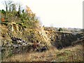 SK3562 : Hockley Quarry, Fall Hill by Roger May