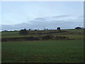  : Coal tips near Bridgecastle, West Lothian by paul birrell