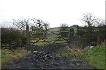  : Gateway on the SE side of the road to Moleside Moor by Alexander P Kapp