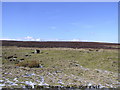 NZ0507 : How Tallon : Stone Circle by Hugh Mortimer