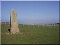 SW5237 : Standing stone on St Michael's Way by Sheila Russell