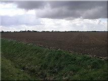  : Big Flat Field 1 by Michael Patterson