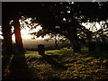 TF6528 : The churchyard of St Peter, Wolferton, Norfolk. by Andy Peacock