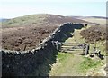 NT4231 : Southern Upland Way by Eileen Henderson