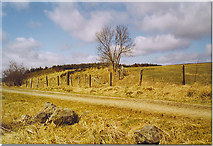  : Rough Grassland by the Formartine &  Buchan Way by Colin Smith