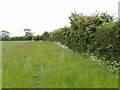 SP5816 : Grass edge to wheat field, Murcott by David Hawgood