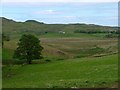  : Pasture Field, Near Frachadil by Mick Garratt