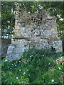 NT4881 : Saltcoats Castle Doocot by Lisa Jarvis