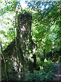 SX8247 : Ruined cottage near Hansel by Derek Harper