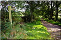  : Bridleway Near Chambers Common by Charles Rispin