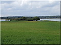 TQ7297 : Hanningfield View from Rawl Hide. by TREVOR NORRIS