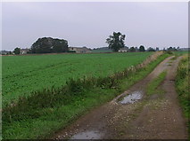  : Bridleway by Hugh Mortimer