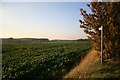  : Footpath to Upton Grove by Richard Croft