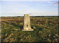  : The trig point on Eglingham Moor by Walter Baxter