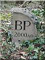 ST4859 : Burrington Parish Boundary Stone by FollowMeChaps