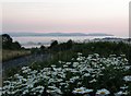 SX8955 : A misty view across to Torbay from the Kennels Road by Tom Jolliffe