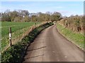 SU4424 : Silkstead Lane between Silkstead and Silkstead Manor Farm by Jim Champion