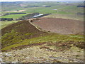 NT5432 : The southwestern path leaving the top of Eildon Mid Hill by Phil Catterall