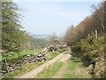 SH7755 : Junction of the Pant yr Hyddod and Sarn Helen tracks by Eric Jones