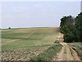 TL5002 : Essex Way footpath between Epping - Ongar by David Kemp