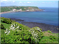 NZ8215 : Runswick Bay by Scott Robinson