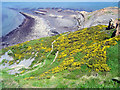 NZ8315 : Disused quarries at Kettleness by Scott Robinson