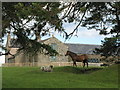 NY7955 : Keenleyfell West Farm (2) and fauna by Mike Quinn