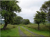  : Track heading  north east over Littlehill Common by Roger Butler