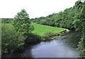 SN6556 : The Afon Teifi from Pont Llanio, Ceredigion by Roger  D Kidd