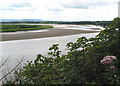 SO6911 : View across the bend in the River Severn by Pauline E