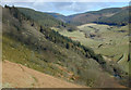 SN7577 : Forestry above the Afon  Mynach by Nigel Brown