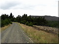 NZ0198 : Forestry road in Harwood Forest by Kenneth   Ross