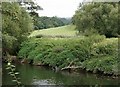 ST7865 : River Avon and Meadows by Maurice Pullin