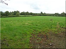  : Leitrim Townland by Kenneth  Allen