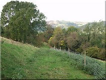  : Woodland near Trinity Well by John Haynes