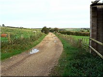  : Farm track, Roger's Hill Farm, near Bere Regis by Brian Robert Marshall