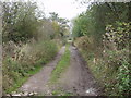 SJ4935 : Track beside the Shropshire Union canal by John Haynes