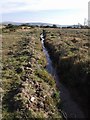 SX6971 : Leat  to West Stoke by Derek Harper