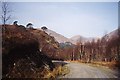 NM9180 : Loch Shiel Road by Richard Webb