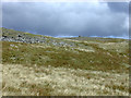 SN7988 : The summit of Pen Cerrig Tewion by Nigel Brown