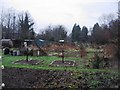 TL4556 : Winter Allotments by Mr Ignavy