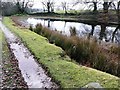 ST2394 : Pond at Rhyswg-ganol by Graham Horn