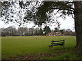  : Rodmersham Cricket Club by pam fray