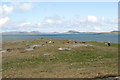 NF6909 : Grazing land north of Beinn Sgurabhal, Barra by eswales