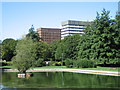 SU6452 : Park pond & Office Blocks by Mr Ignavy